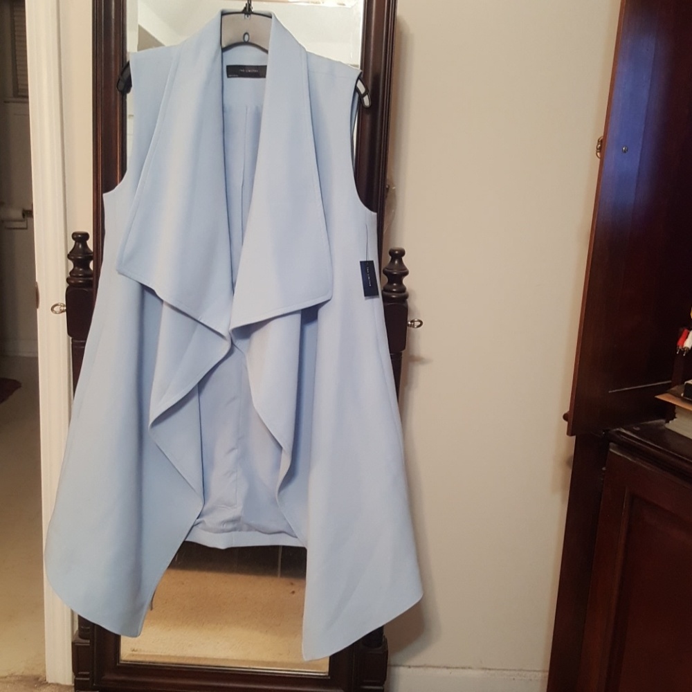 The Limited Long Pleated Vest